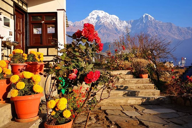 4-Day Private Poon Hill Trekking Tour - Day 3: Poon Hill sunrise and a long mountain day