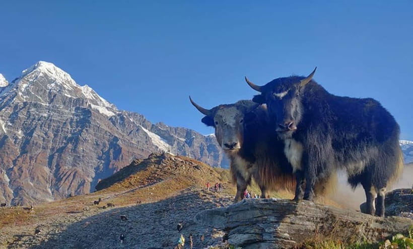 4 Days Pikey Peak Trek : The Best View of Mt Everest - What the $350 price really covers