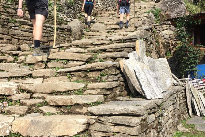 4 Days Poon Hill Trek from Pokhara - Why Poon Hill works as a four-day Nepal trek