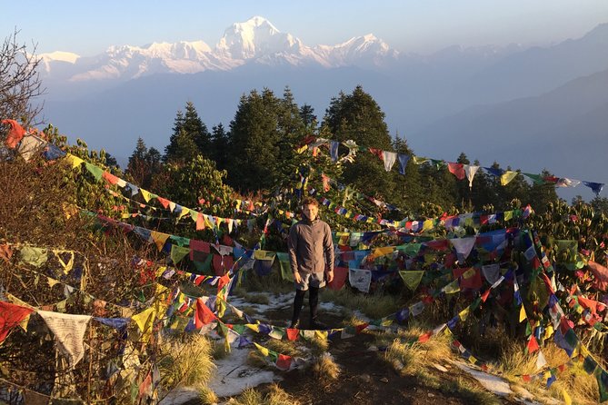 4 Days Poon Hill Trek from Pokhara - Day two: rhododendron forest on the way to Ghorepani