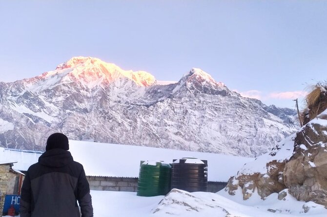 5 Day Mardi Himal Base Camp Trek in Pokhara - Day 3: Low Camp to Mardi High Camp