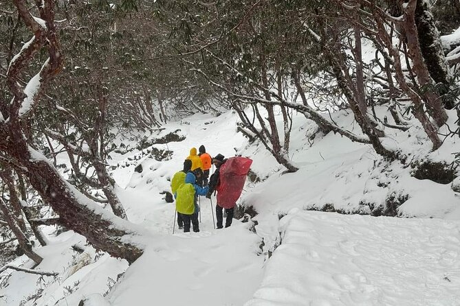 5 Day Mardi Himal Base Camp Trek in Pokhara - Guides, support, and the private format
