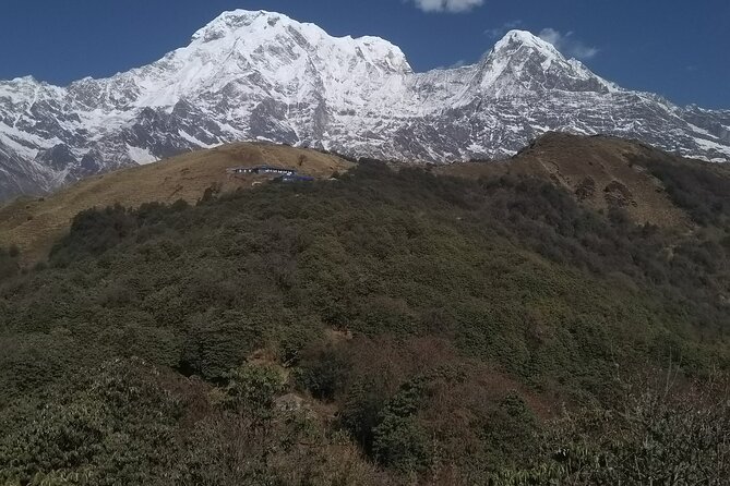5 Days Mardi Himal Trek. - Food, rooms, transport, and the real cost