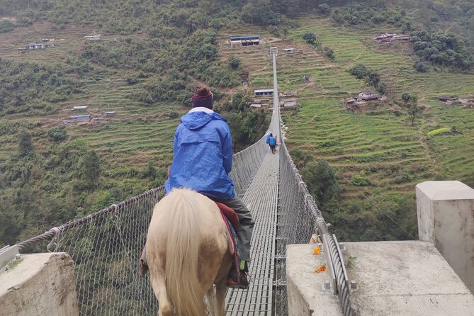 6 days Annapurna Basecamp Trek - Day 3: Rhododendron forest and the Modi River valley