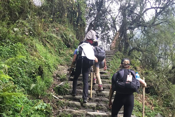 7 Days Annapurna Base Camp Trek from Pokhara - Day 1: Nayapul to Ghandruk