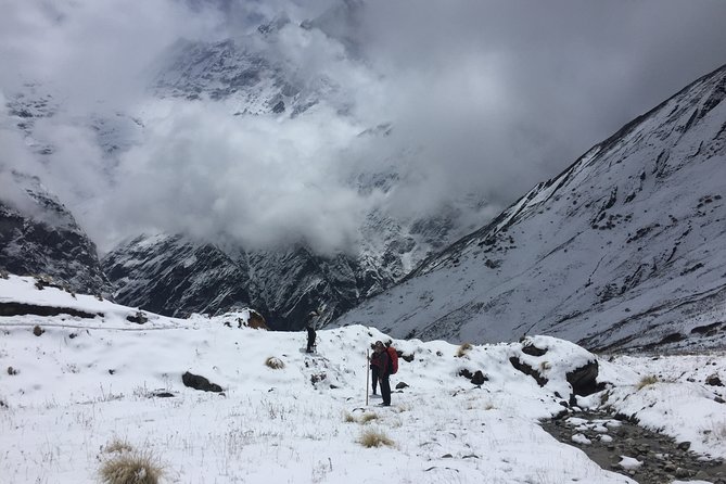 7 Days Annapurna Base Camp Trek from Pokhara - Day 3: Into the Annapurna Sanctuary
