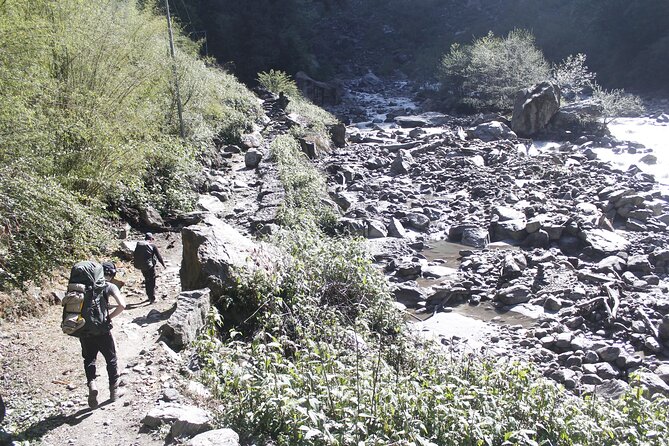 7 Days Langtang Valley Trek from Kathmandu - Day Five: Sunrise at 4,800 Meters, Then Down to Lama Hotel