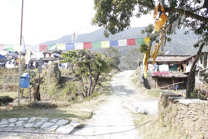 7 Days Langtang Valley Trek from Kathmandu - Guide Support and the Private Format