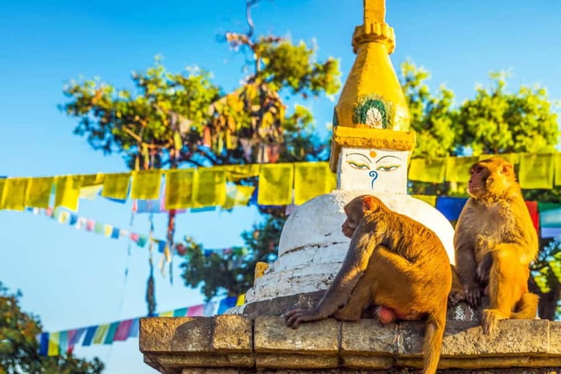 7-Heritage of Kathmandu: At your comfort 1-Day Tour - 4:45 PM at Pashupatinath Temple