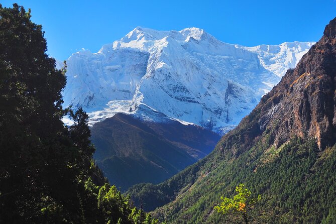 8 Days Private Guided Trekking in Annapurna Circuit with Pickup - Day 7: Thorong La, Muktinath, and Jomsom