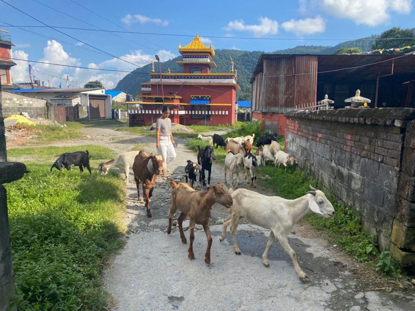 Afternoon Tibetan cultural tour - Why this four-hour Tibetan tour feels different