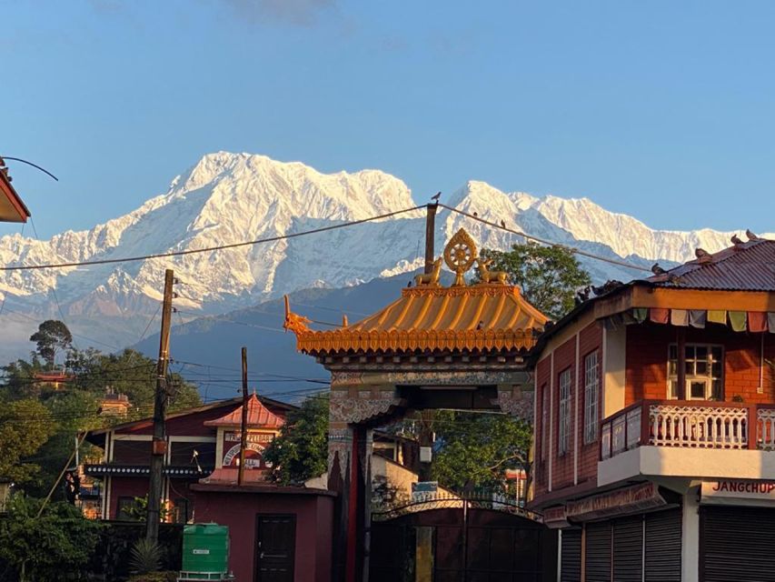 Afternoon Tibetan cultural tour - Afternoon prayer chanting at the monastery