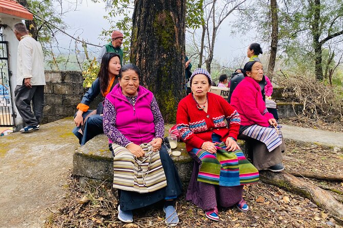 Afternoon Tibetan Cultural Tour to Tibetan Settlements Pokhara - What the $60 price includes