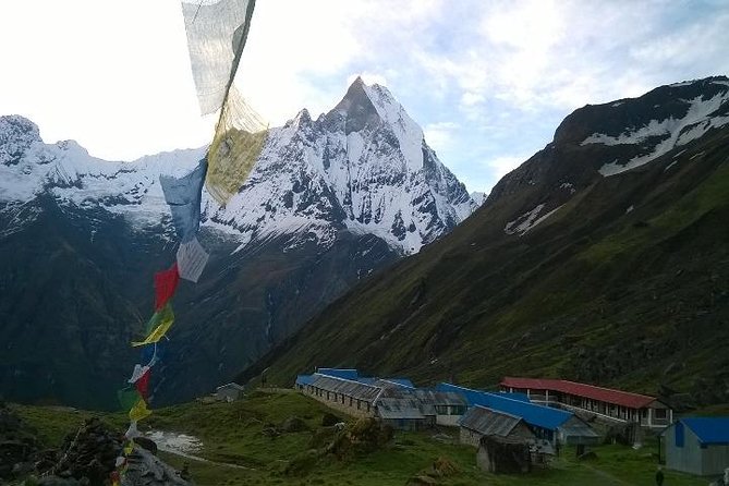 Annapurna Base Camp Trek - 11 Days - Rhododendron forests and the climb to Ghorepani