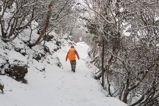 Annapurna base camp trek 5 Days - Day four: Reaching Annapurna Base Camp