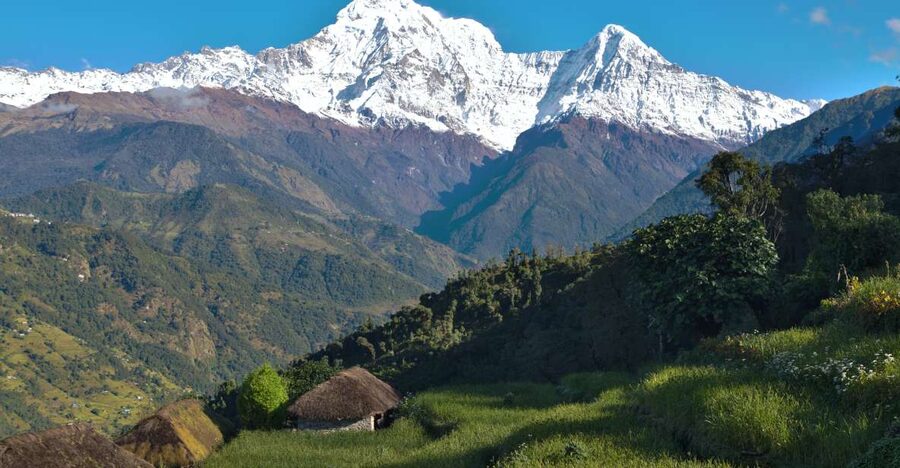 Australian Base Camp Day Hike From Pokhara - What the guide adds to the day