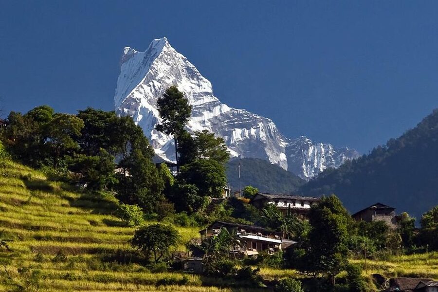 Australian Base Camp Day Hike From Pokhara - The climb from Kande: beautiful, but not gentle