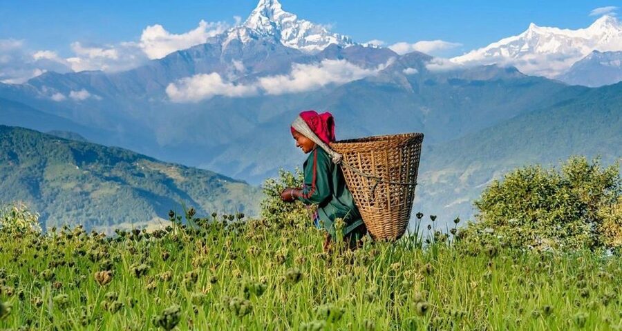 Australian Base Camp Hike For Sunrise over the Himalayas - What the $64 price really covers