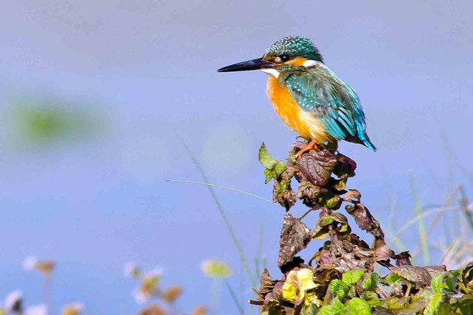 Best of Nepal Luxury Adventure Tour Package - 9 Days - Why this route works for a first Nepal visit