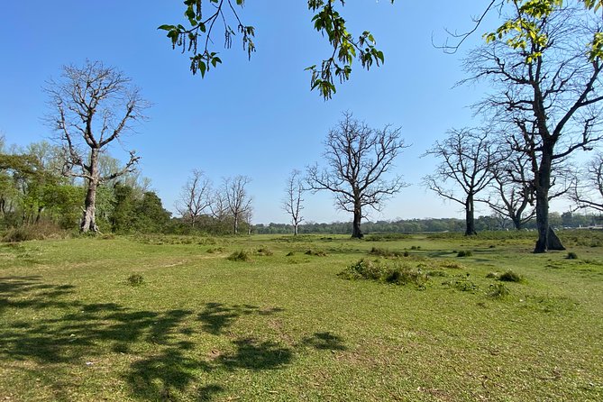 Canoeing and Nature Walk in Chitwan National Park - What the short duration really means