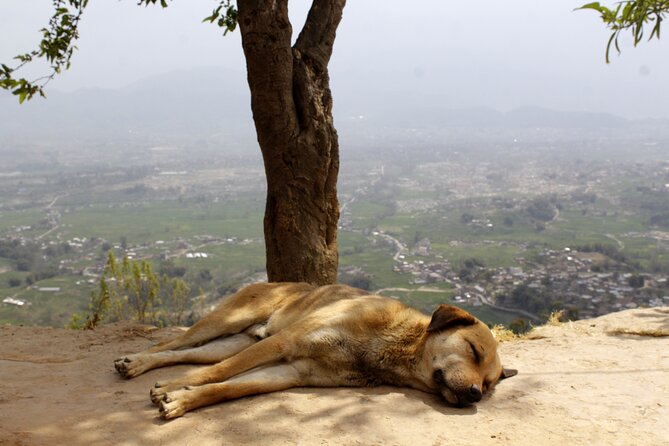 Changunarayan Hill to Telkot Hike Near Kathmandu Day Tour - Why this hike makes a good break from Kathmandu