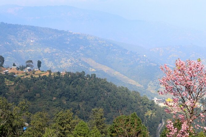 Changunarayan Hill to Telkot Hike Near Kathmandu Day Tour - Walking through villages, forest, and farm terraces