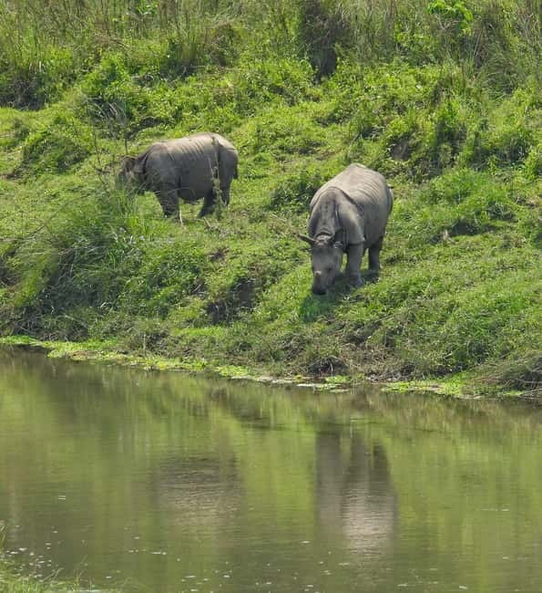Chitwan: Full-Day Safari Canoeing and Jungle Walk and Jeep - One hour on the Rapti River