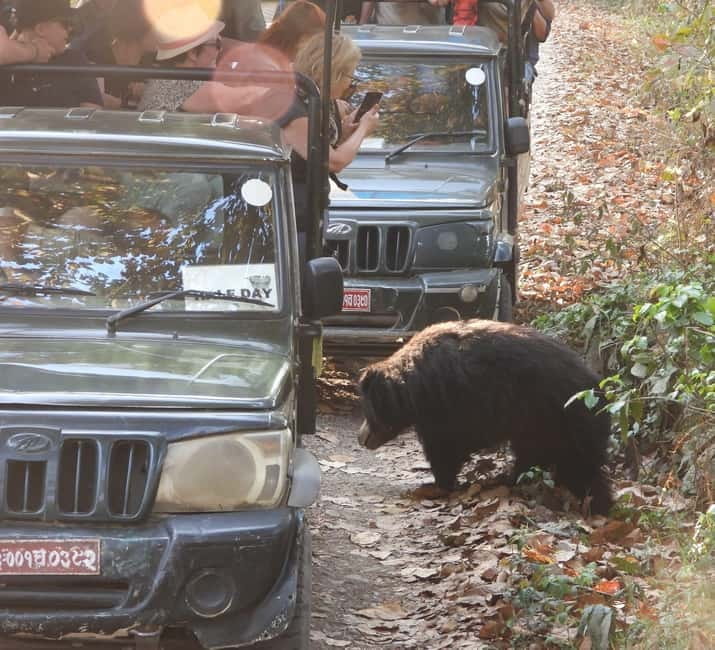 Chitwan: Full-Day Safari Canoeing and Jungle Walk and Jeep - Lunch before the long jeep search