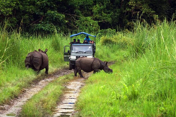 Chitwan Jungle Safari 3-Day Tour - Guides, group size, and the human side of the trip