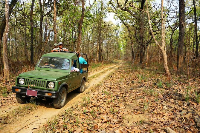 Chitwan Jungle Safari 3-Day Tour - Day two: the most rewarding day of the itinerary