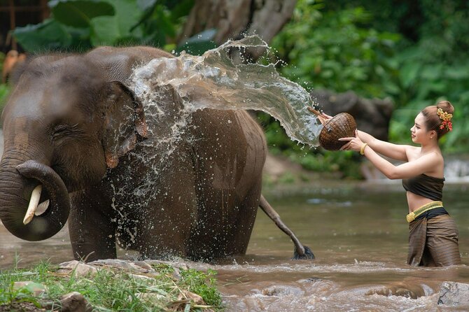 Chitwan National Park Tour - What the jungle lodge arrangement means