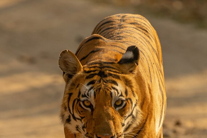 Chitwan National Park Tour - How good is the $144 value?