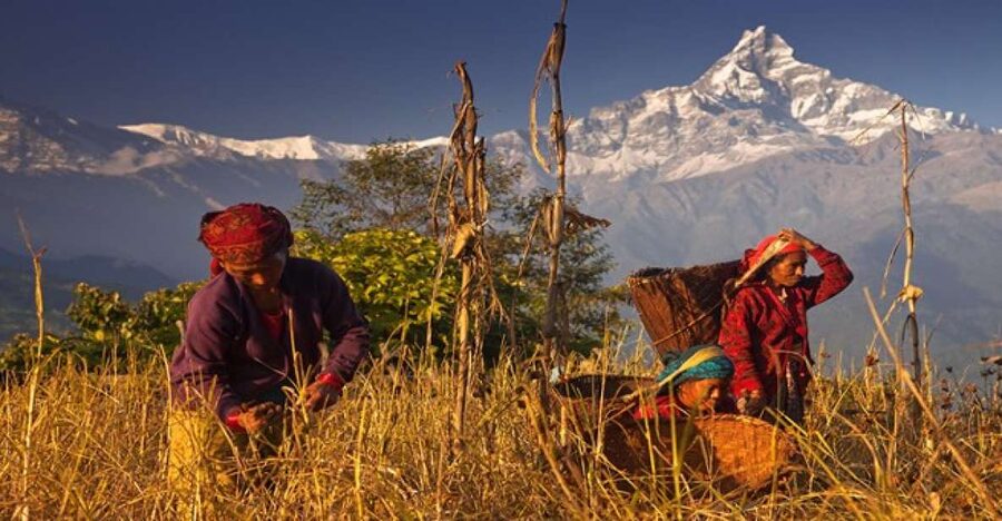 Day Hike at Annapurna Foothills - Walking the ridge toward Dhampus