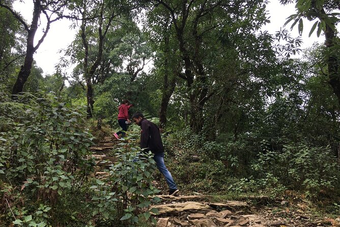 Day hiking to Dhampus - Astam Village - Dhampus: forest paths and Gurung village life