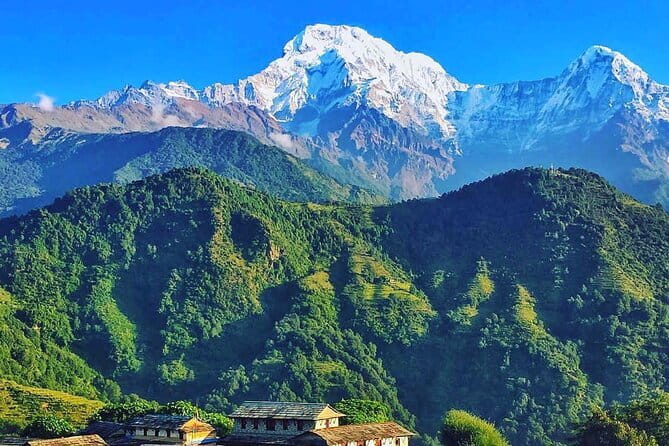 Easy Day Hiking to Australian Camp from Pokhara - Is $100 per person good value?