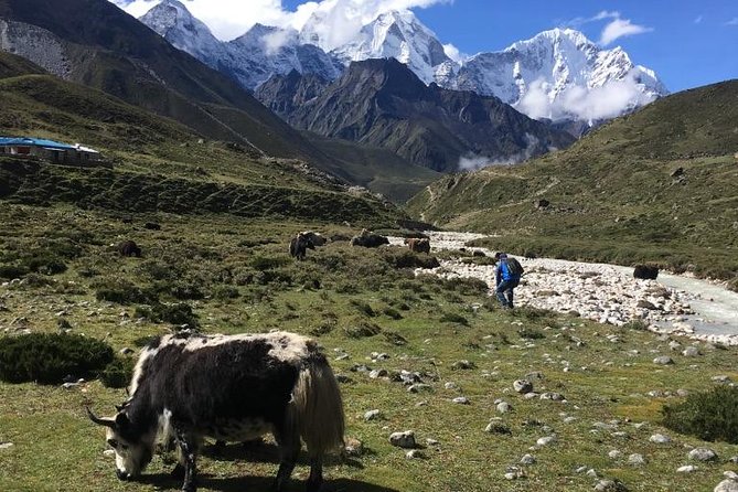 Everest Base Camp Helicopter Tour landing at Everest View Hotel - Hotel Everest View is the main ground stop