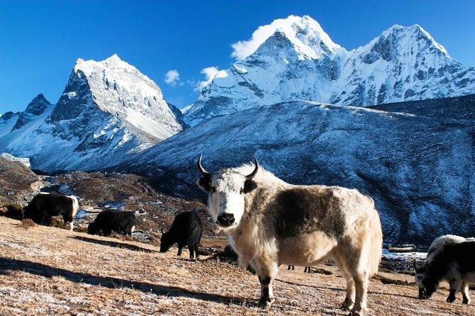 Everest Base Camp Helicopter Tour Stop at Hotel Everest View. - Key points to know before booking
