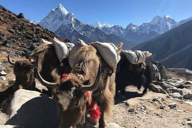 Everest Base Camp Trek 12 Days – Best Himalayan Adventure - Tengboche and the appeal of the middle route
