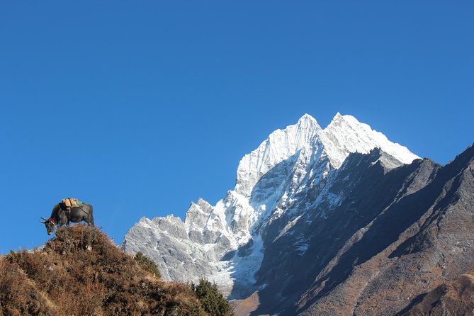 Everest Three Pass Trek - Day 7: Kongma La at 5,535 meters