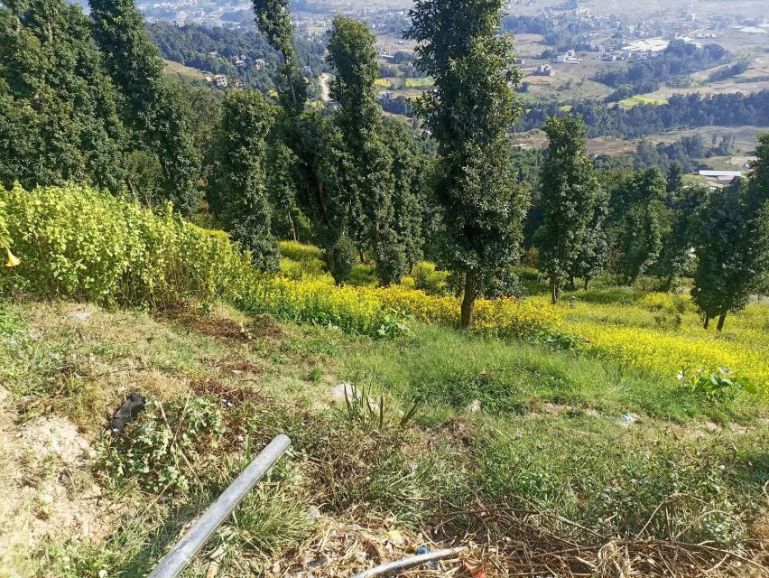 From Kathmandu: Everest View from Nagarkot & hike to Changu - The suspension bridge and the changing terrain