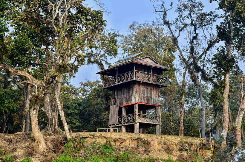From Kathmandu/Pokhara: 2, 3, or 4-Day Chitwan Jungle Safari - Why Chitwan works as a break from Nepal’s mountains