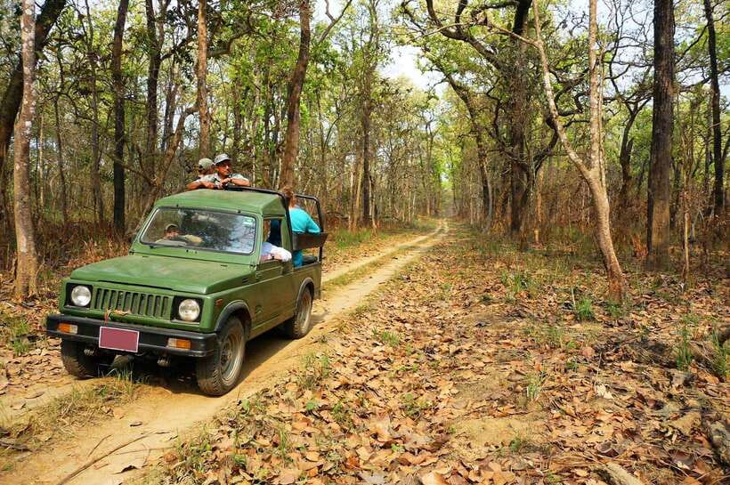 From Kathmandu/Pokhara: 2, 3, or 4-Day Chitwan Jungle Safari - First afternoon: Tharu village and sunset