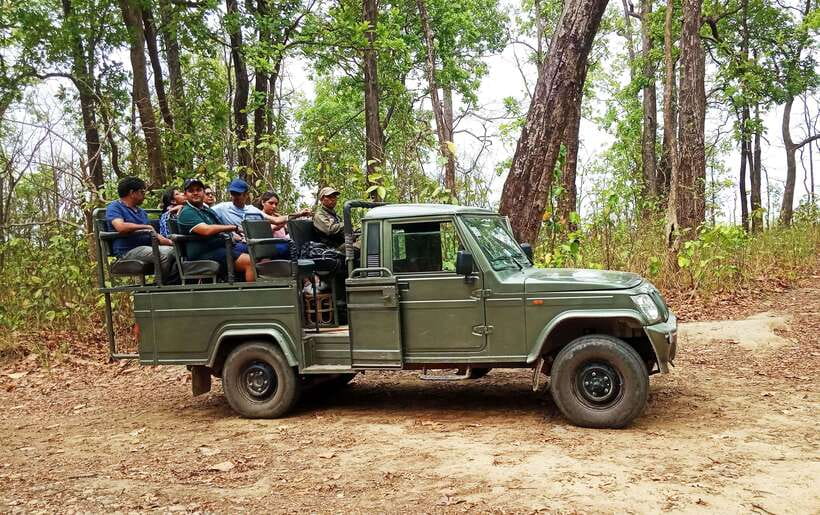 From Kathmandu/Pokhara: 2, 3, or 4-Day Chitwan Jungle Safari - Jeep safari, birdwatching, and the search for rhinos