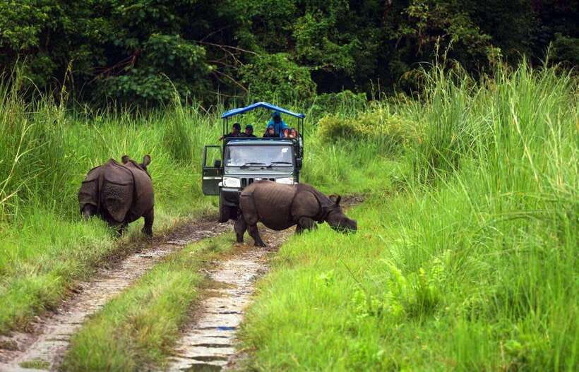 From Kathmandu/Pokhara: 2, 3, or 4-Day Chitwan Jungle Safari - What the $35 price really includes
