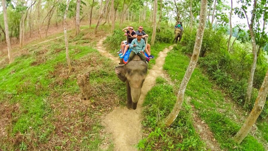 From Kathmandu/Pokhara: 3-Day All-Inclusive Chitwan Safari - Day 2: Canoes, crocodiles, and the Jeep safari