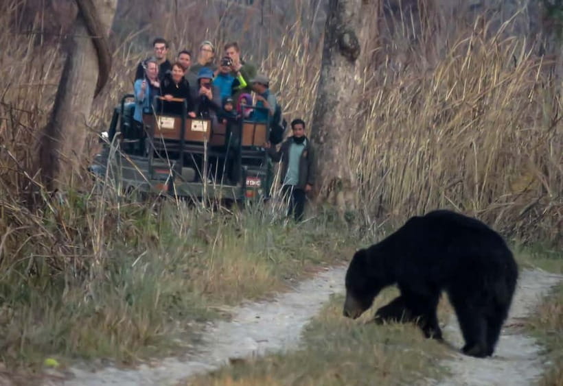 From Kathmandu/Pokhara: 3-Day Chitwan National Park Tour - Key points to know before booking