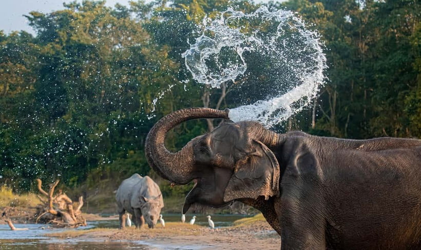 From Kathmandu/Pokhara: 3-Day Chitwan National Park Tour - Booking, cancellation, and practical questions