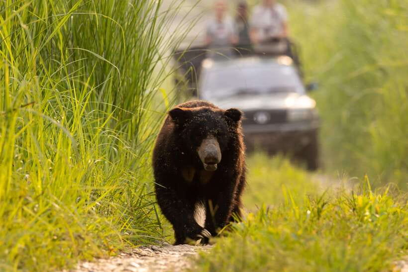 From Kathmandu/Pokhara: 3-Day Chitwan National Park Tour - The elephant breeding centre visit