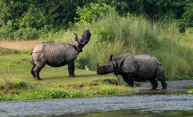 From Kathmandu/Pokhara: 3-Day Chitwan National Park Tour - Day 1: Arrival, sunset, and Tharu culture