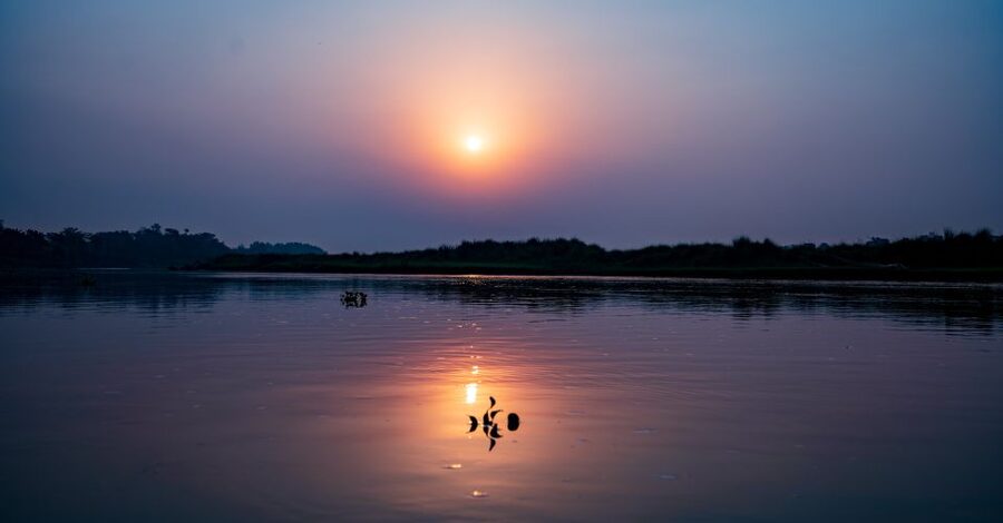From Kathmandu/Pokhara: Private 3-Day Chitwan Safari Tour - Who will enjoy this safari most